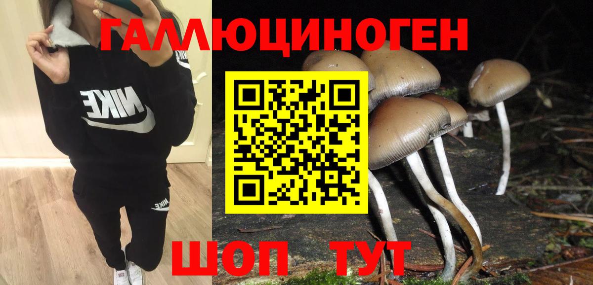 Учалы  Псилоцибиновые грибы MAGIC MUSHROOMS  даркнет сайт  Вход с VPN 