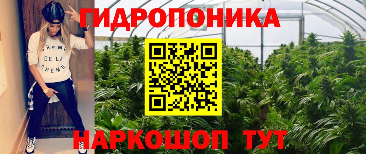 Канабис семена Учалы